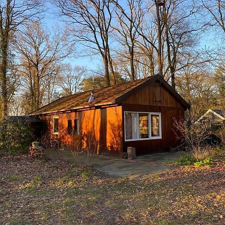 Basic Natuurhuisje Ommen/Beerze Villa Bagian luar foto
