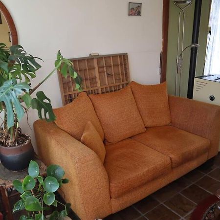 Basic Natuurhuisje Ommen/Beerze Villa Bagian luar foto