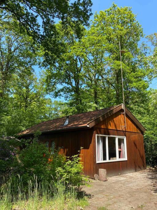 Basic Natuurhuisje Ommen/Beerze Villa Bagian luar foto