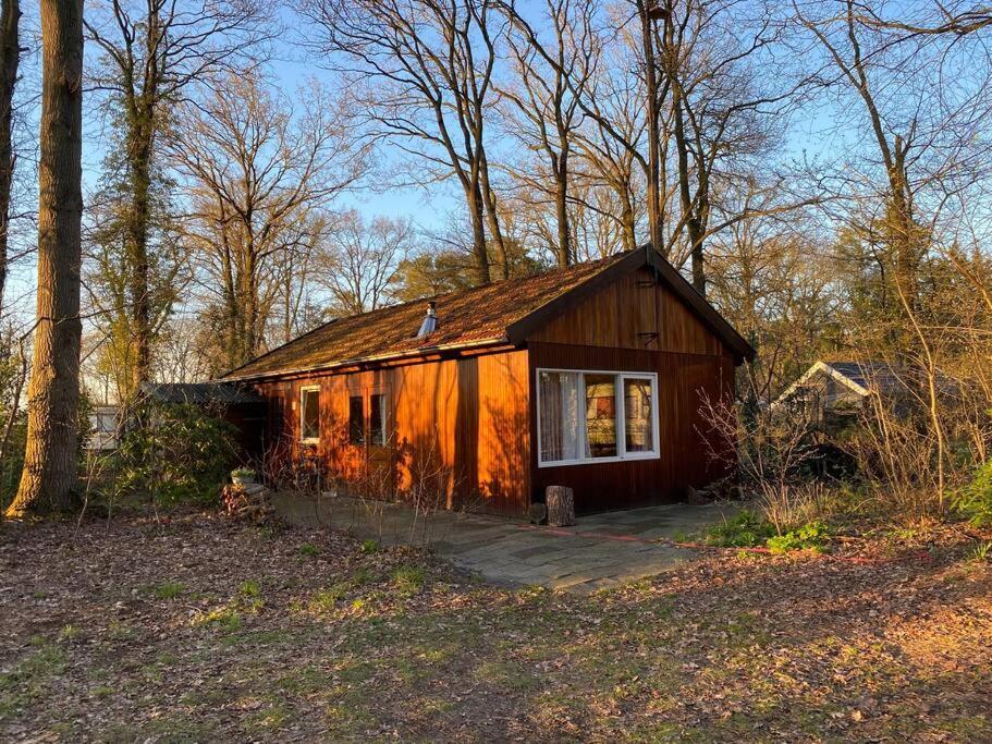 Basic Natuurhuisje Ommen/Beerze Villa Bagian luar foto