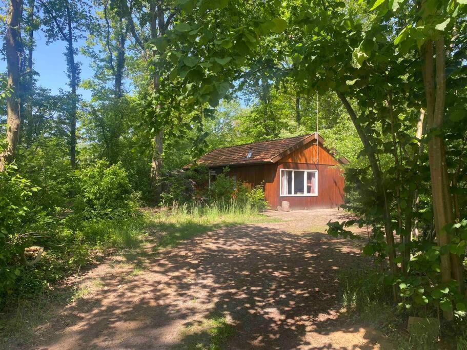 Basic Natuurhuisje Ommen/Beerze Villa Bagian luar foto